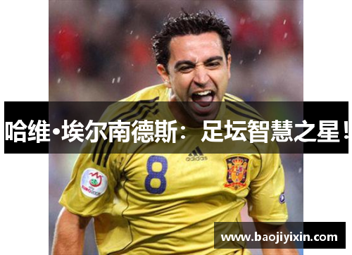 哈维·埃尔南德斯：足坛智慧之星！